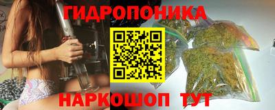 крисы Лесосибирск